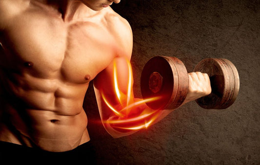 How Resistance Training Affects Metabolism and Fat Burning